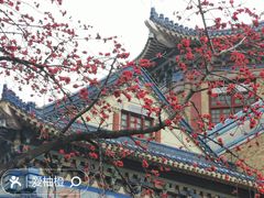 -广州中山纪念堂