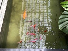 -燕北云山·农家菜·灶台鱼(密云溪翁庄店)