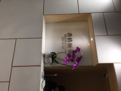 点击看大图 香格俪莱(仁恒店)-CARR SALON