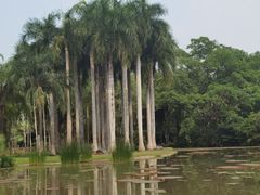 -中国科学院西双版纳热带植物园