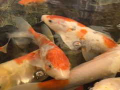 -北京金龙潭御瑞酒店(花园桥地铁站店)