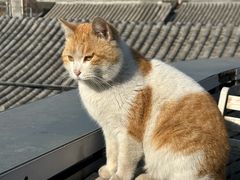 -前叁門