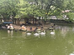 -黔灵山公园