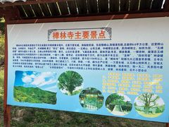 -遵化市禅林寺古银杏风景园