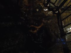 -洞穴餐厅