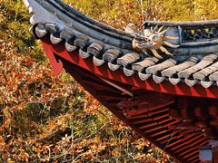 -东钱湖旅游度假区