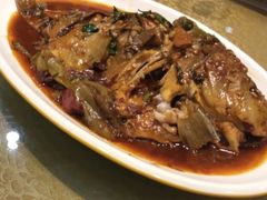 -老码头黑皮肘子锅包肉(文政街店)