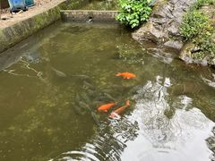 -途中饭店(开化店)