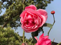 -呼吸森林·生态农庄农家乐私房菜