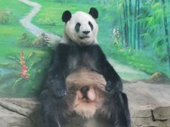 -灵玲国际马戏城