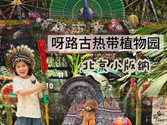 -呀路古热带植物园