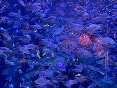 -成都浩海立方海洋公园