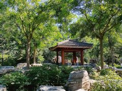 -东郊湿地公园