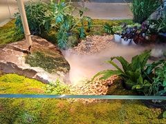 -桐湾大院·桐庐菜(滨江店)