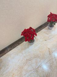 -太原丽都医疗美容医院