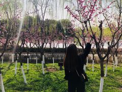 -西安汉城湖景区