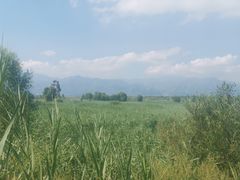 -野鸭湖国家湿地公园