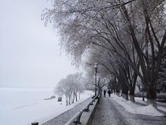 -滨州铁路桥