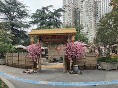 -成都市活水公园