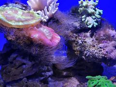 -大连圣亚海洋世界