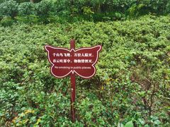 -邓小平故里