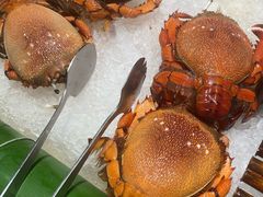 -加餐海鲜自助(宝龙一城店)