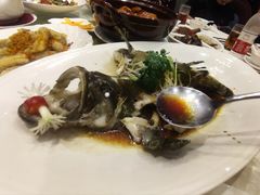 -东国海鲜火锅城(氹仔店)