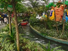 -南宫五洲植物乐园