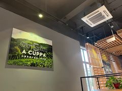 -大益茶庭(勐海会员中心店)