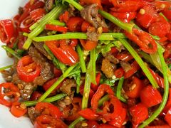 -清真双宝红油牛系列