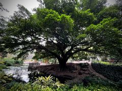 -晓港公园
