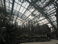 -南山植物园