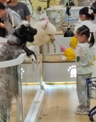 -小象动悟公园(龙湖亦庄天街店)
