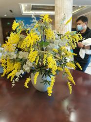 -馨月汇·独栋月子中心(南山店)