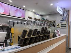 -雾与山茶(大禹城店)