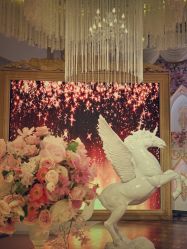 点击看大图 -谛融婚礼酒店·宴会厅(花园店)