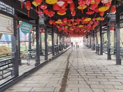-淹城春秋乐园