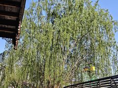 -大小河街