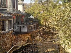 -老张烤羊(王哥庄店)