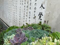 -寂照庵