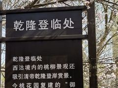 -桃花堤公园