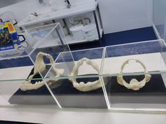 -沈阳海洋探索中心