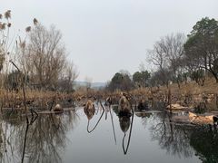 -石塘人家