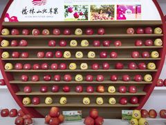 -中国农业博物馆