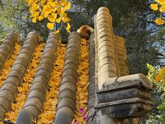 -沈阳市东陵公园