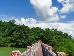 -广州白江湖森林公园