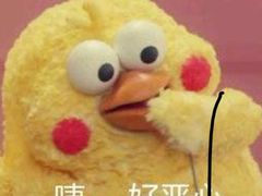 -重庆大队长火锅(凤城八路店)