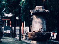 -四门塔风景区