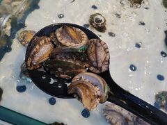 -川骄海鲜自助(河东店)