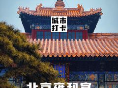 -雍和宫